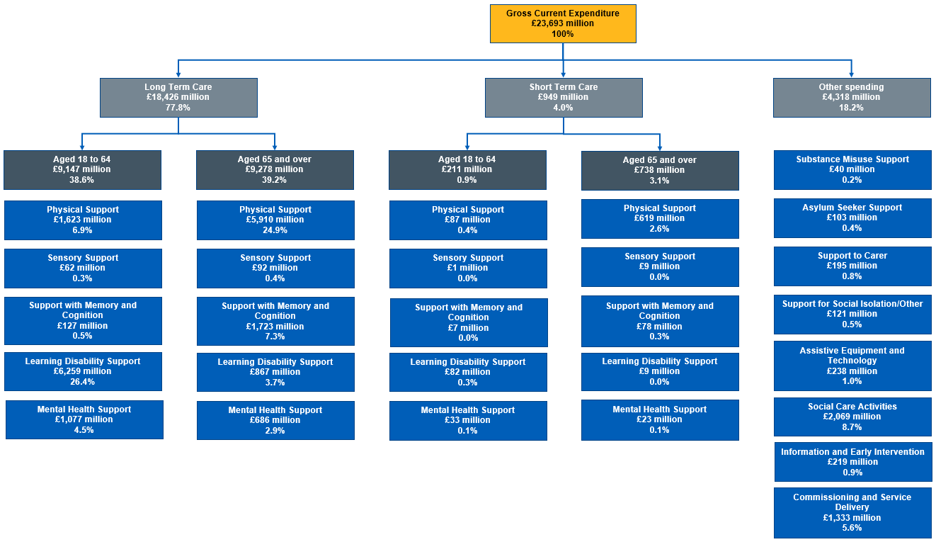 Flow chart showing gross current expenditure split by, care type, age and support type