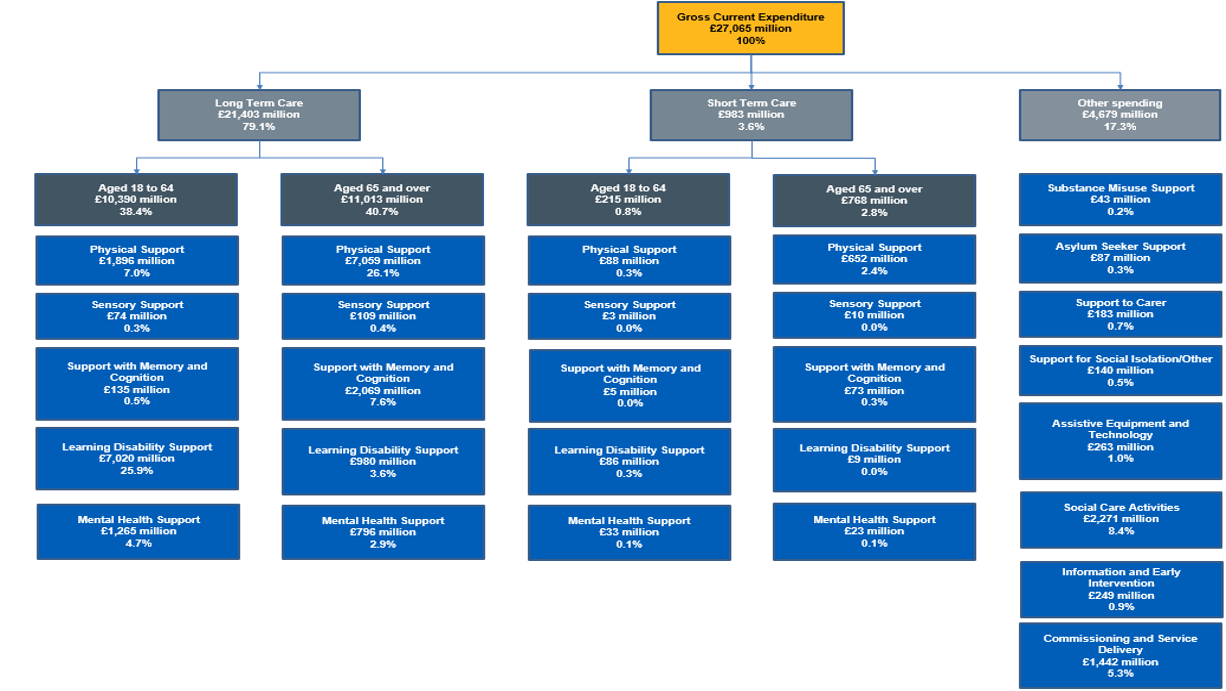 Flow chart showing gross current expenditure split by, care type, age and support type