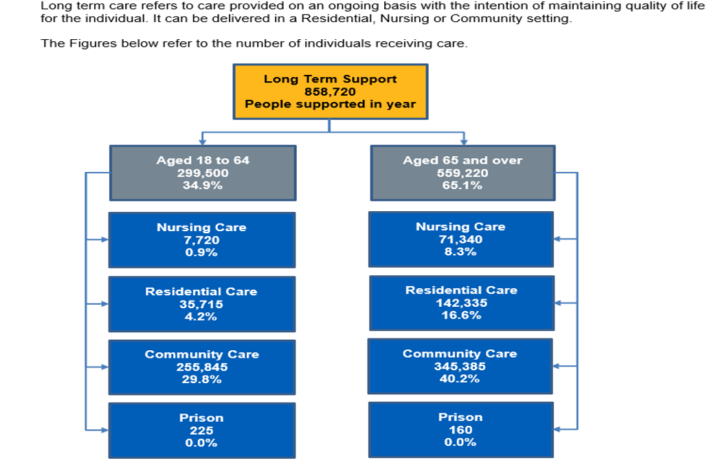 Flow chart showing the number of individuals receiving Long term care in the year by support setting