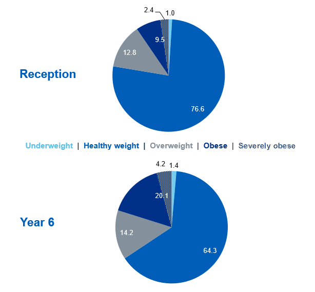 Pie charts showing prevalence of the BMI classifications for reception year and year 6 children