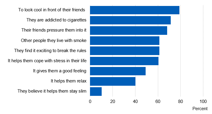 Image showing beliefs about why people their own age smoke