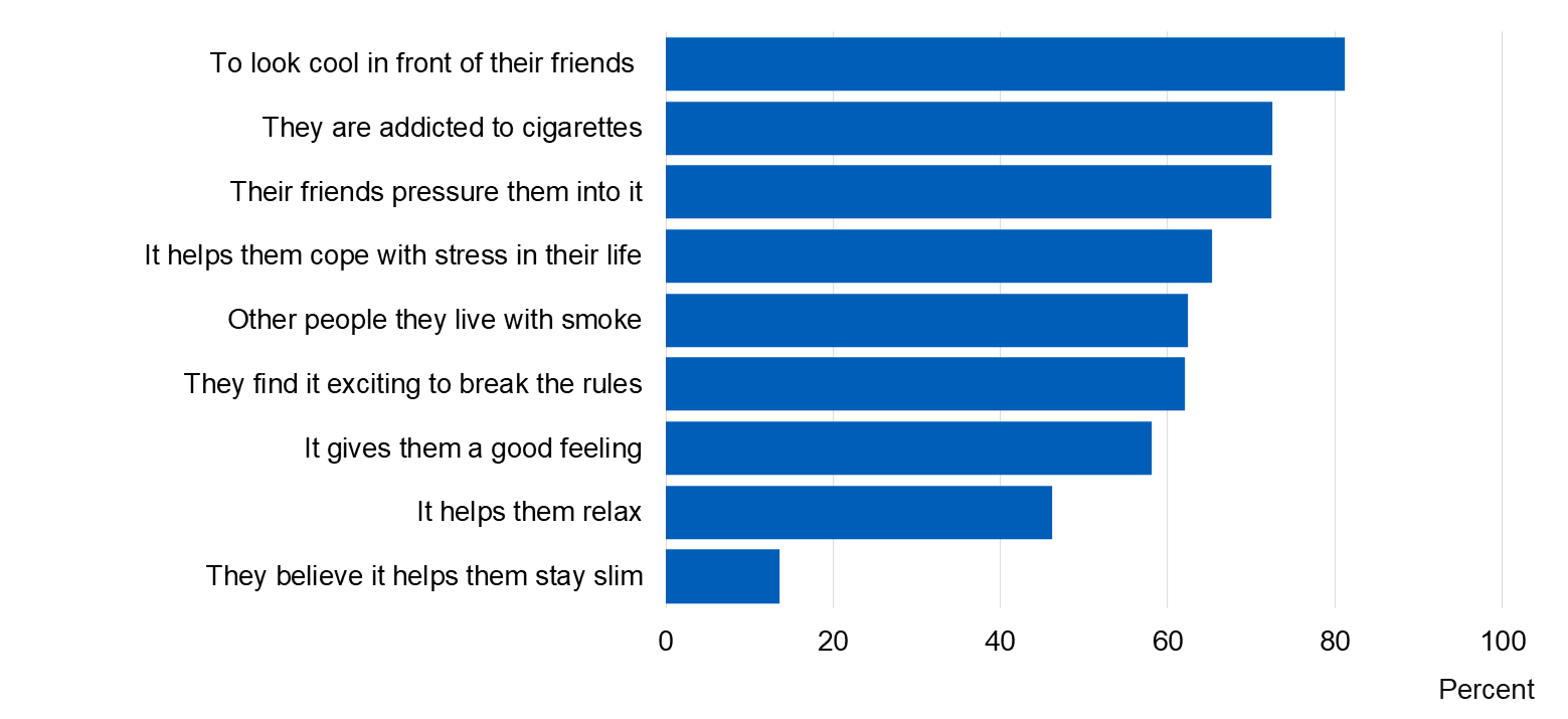 Image showing beliefs about why people their own age smoke