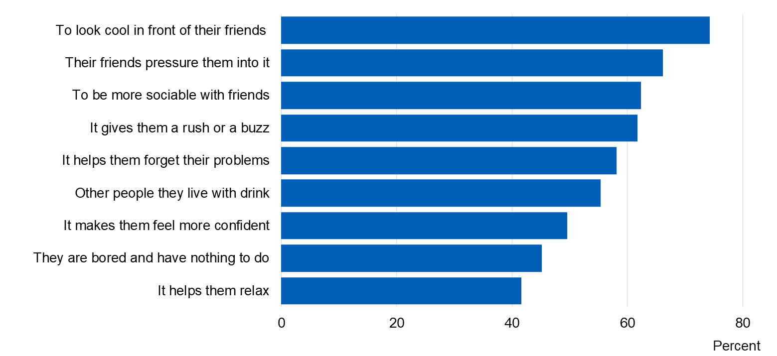 Image showing beliefs about why people of pupil’s age drink alcohol
