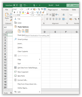 excel file with match destination formatting highlighted