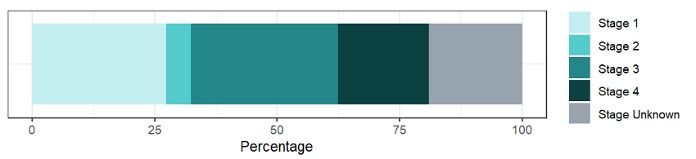 Example of graph of FIGO stage at diagnosis of ovary, fallopian and primary peritoneal carcinomas