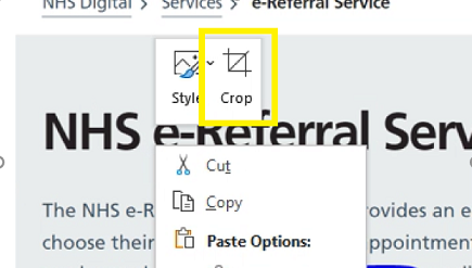 Image of cropping icon using Microsoft Word